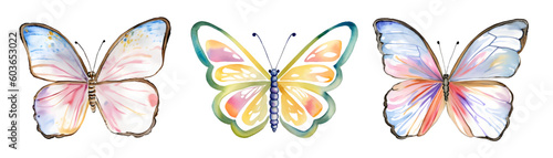 Watercolor set with colorful butterflies isolated on white, vector