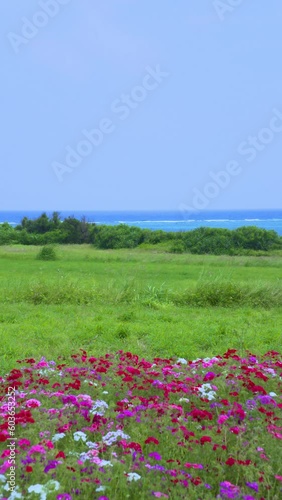 沖縄　宮古島の風景