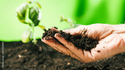 Canvas-taulu Farmer hand prepares topsoil for plants