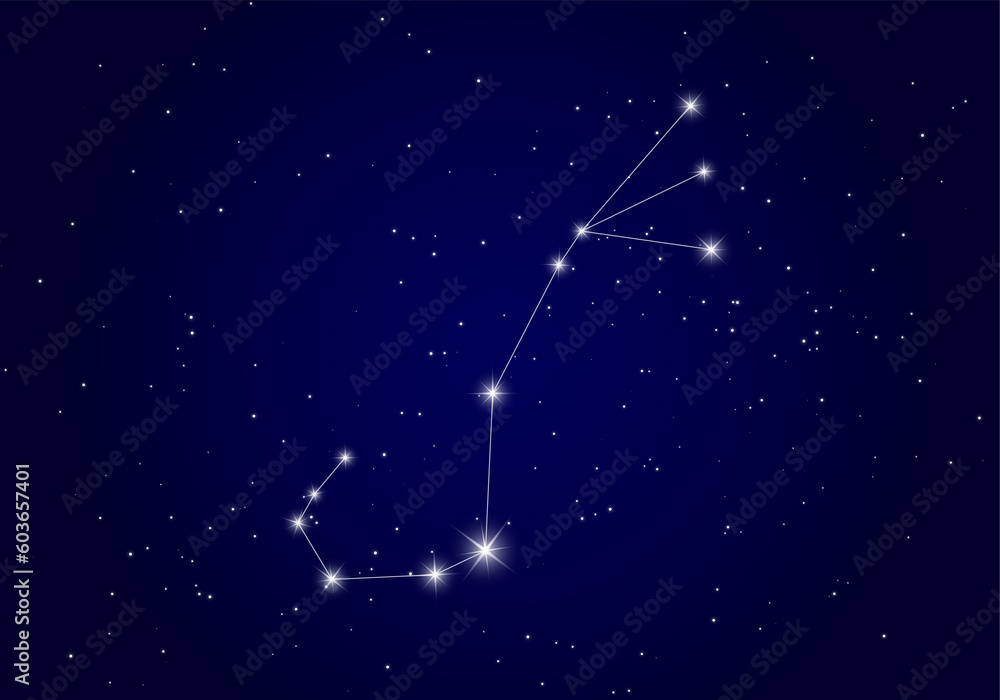 Scorpion constellation background Scorpion constellation background