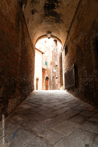 Generic architecture and street view in Siena, Tuscany, Italy © EnginKorkmaz