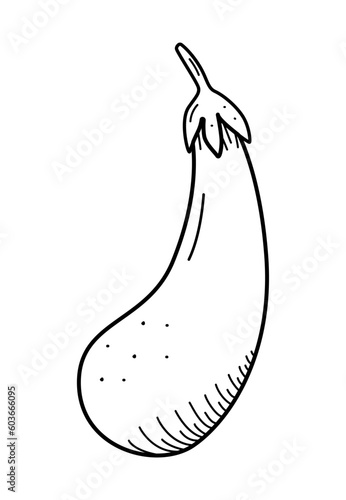 Eggplant doodle sketch icon. Vector single illustration of a vegetable for design on a white background.