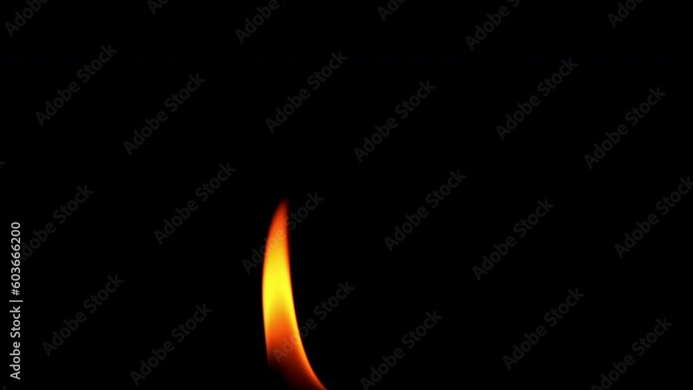 Red-hot flames are burning isolated on black background. Concept of particles, sparkles, flame and light. Red-hot flames are burning isolated on black background. Concept of particles, sparkles, flame and light.