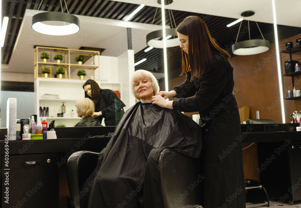 Portrait of elderly woman visiting professional hair salon. Skilled hairdresser cutting hair of female client with scissors. Portrait of elderly woman visiting professional hair salon. Skilled hairdresser cutting hair of female client with scissors.