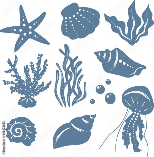 Photography Sea Animals Illustrations