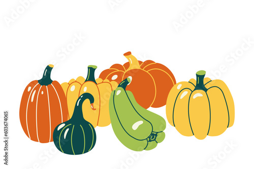 Vibrant colored pumpkins and squashes. Vector hand drawn illustration.
