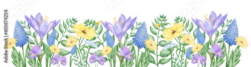 Spring flowers painted in watercolor on a white background