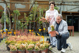 Positive mature couple in casual clothes choosing plants and shrubs in pots while shopping in garden center