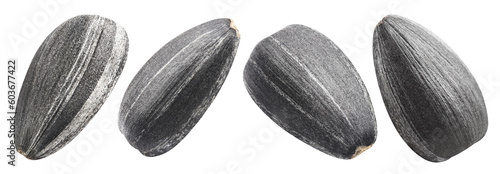 Set of delicious sunflower black seeds, cut out