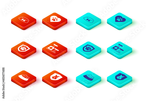 Set Pet food bowl for cat or dog, Animal health insurance, Cat scratching post with toy, Heart animals footprint and icon. Vector