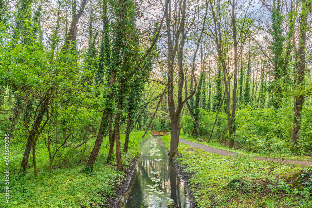 Small wooden pedestrian bridge over, Heviz Small wooden pedestrian bridge over, Heviz