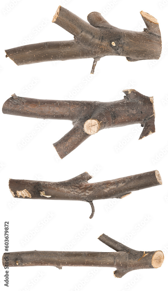 Collage dry tree twig and branch with knots isolated white background. set brushwood. stick tree. pieces of broken wood plank.