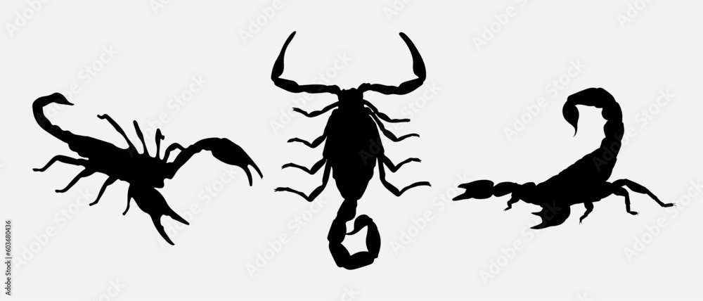 isolated black silhouette of a scorpion, vector collection isolated black silhouette of a scorpion, vector collection