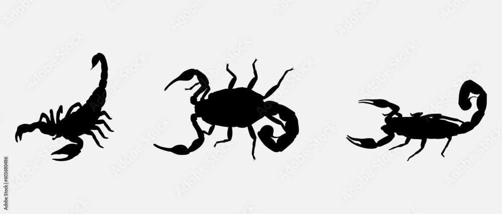isolated black silhouette of a scorpion, vector collection isolated black silhouette of a scorpion, vector collection