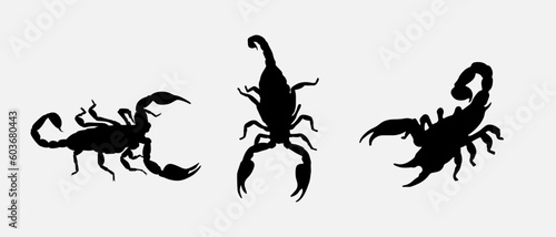 isolated black silhouette of a scorpion, vector collection © tabon