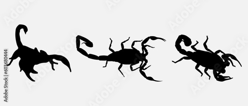 isolated black silhouette of a scorpion, vector collection © tabon