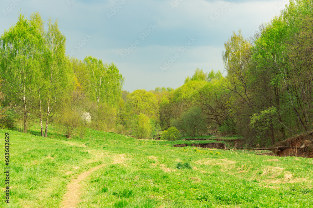 Spring landscape on a sunny day. Meadow in the park, green young grass and trees, blue clear sky.