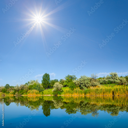 small calm river with forest on coast at sunny day summer rural contryside  landscape