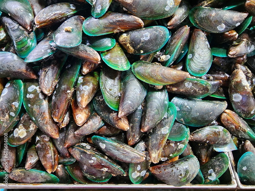Green-lipped Mussels with barnacles on their shells are sold at seafood markets. Scientific name: Perna viridis, the shell is blackish-green with tentacles or fibers for the main island called pollen 