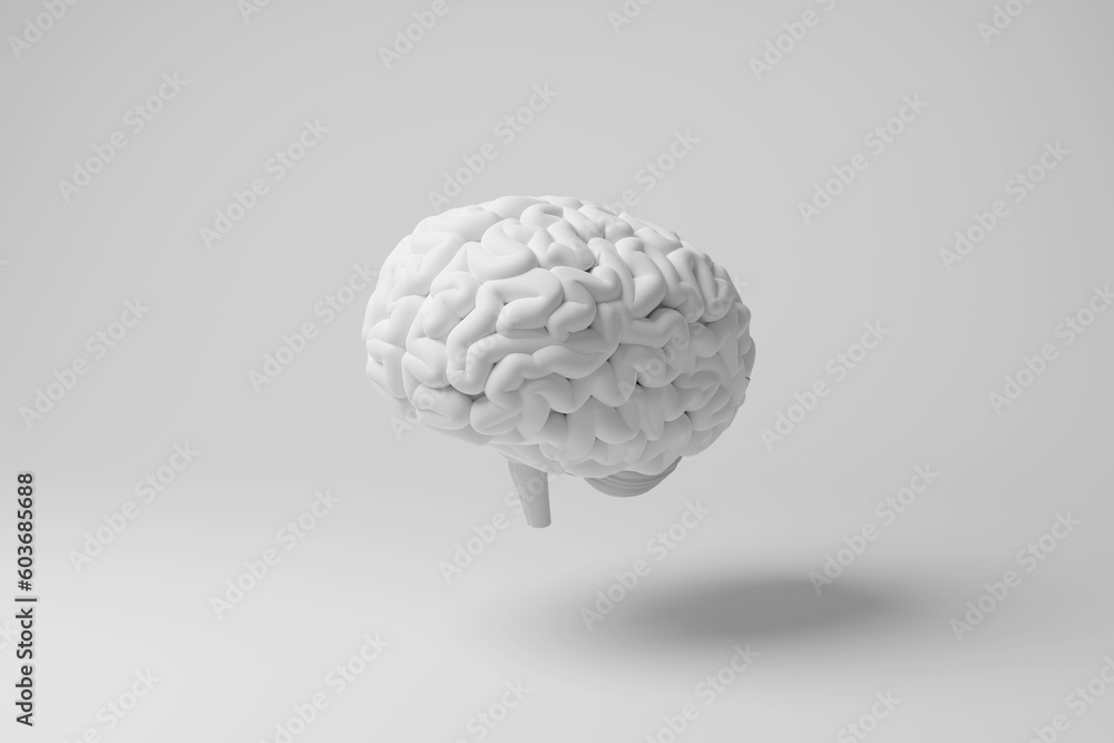 White brain floating in mid air with shadow on white background. Illustration of the concept of medical anatomy, creativity and ideas White brain floating in mid air with shadow on white background. Illustration of the concept of medical anatomy, creativity and ideas