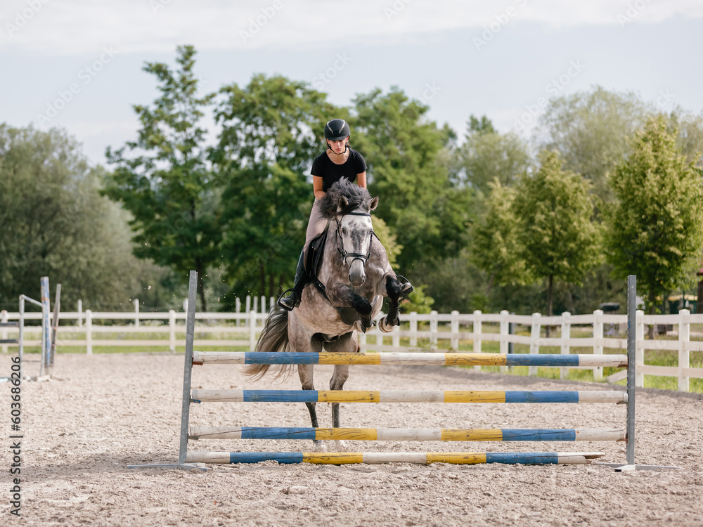Girl rider on a dapple gray horse jumping over a hurdle at the manege of equestrian center on a sunny day Girl rider on a dapple gray horse jumping over a hurdle at the manege of equestrian center on a sunny day
