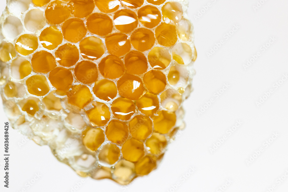 honeycomb honeycomb