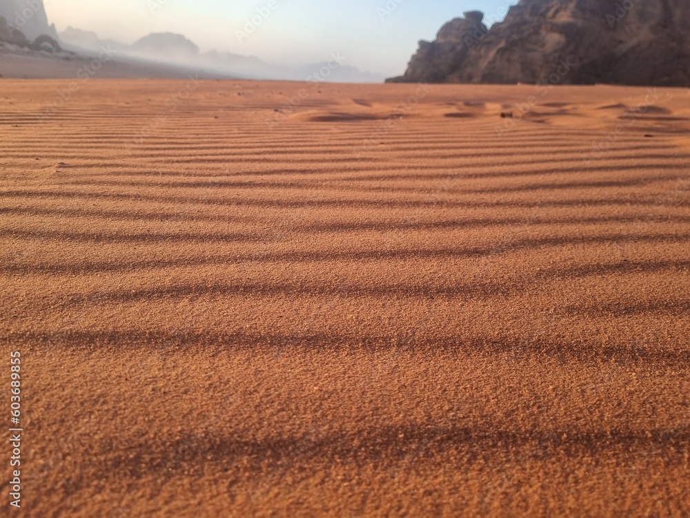 Fototapeta premium sand dunes in the desert