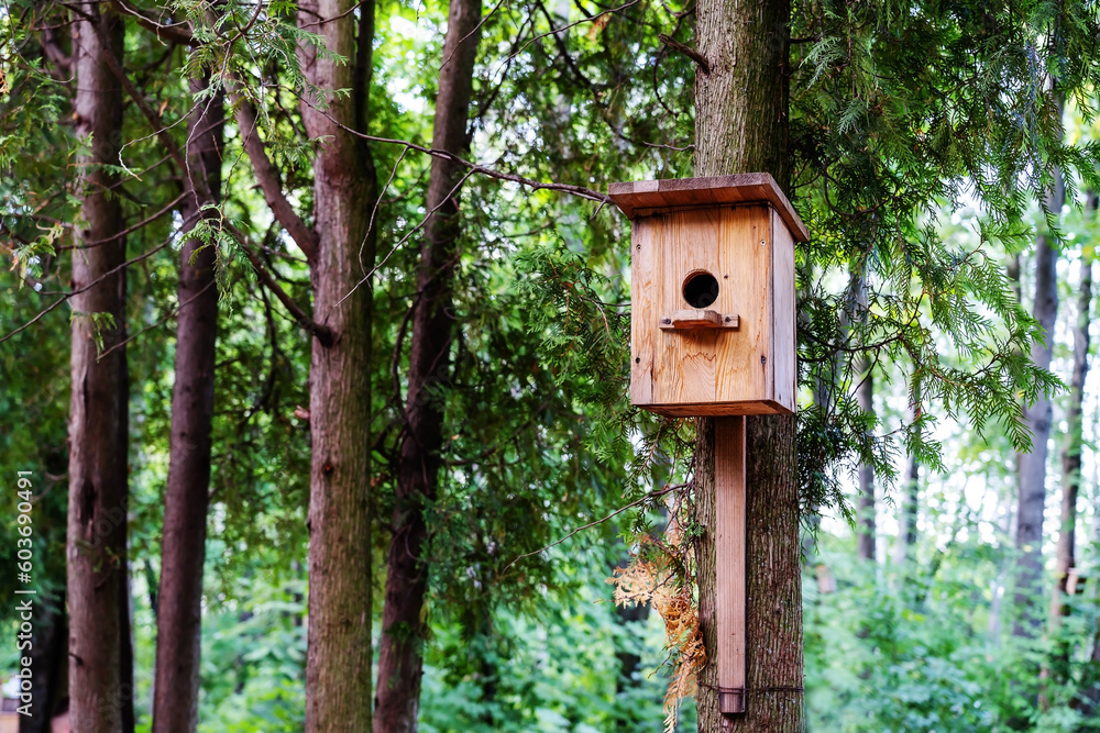 A wooden birdhouse mounted on a tree trunk in a coniferous forest. copy space. summer season