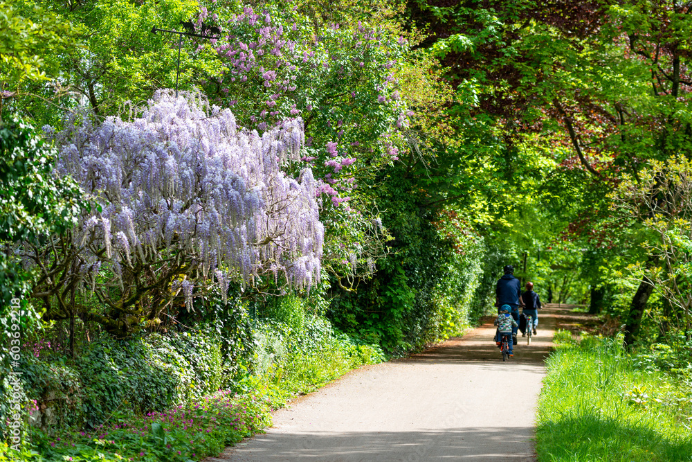 Promenade à vélo au printemps