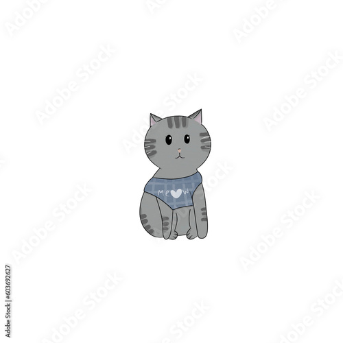 Cat pet animal kitty gray white friedship 