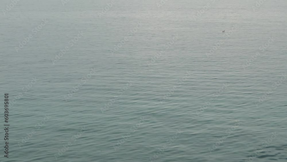 Raindrops falling on to sea water surface during summer shower rain Raindrops falling on to sea water surface during summer shower rain