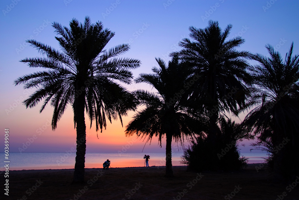 magical sunrise on the sea with the view of the palm trees on the beach with a beautiful silhouette