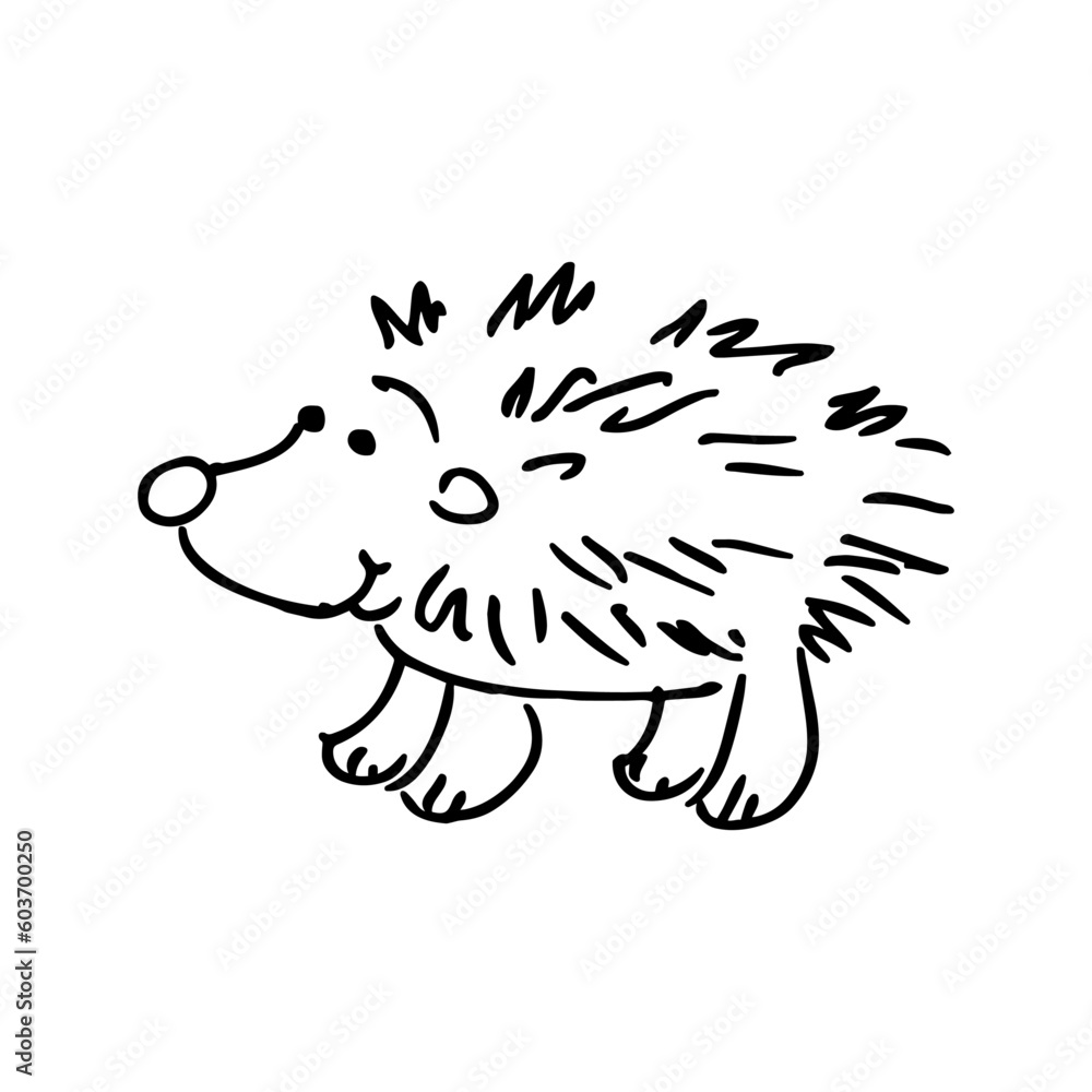 Cute hand drawn doodle hedgehog. Vector illustration.