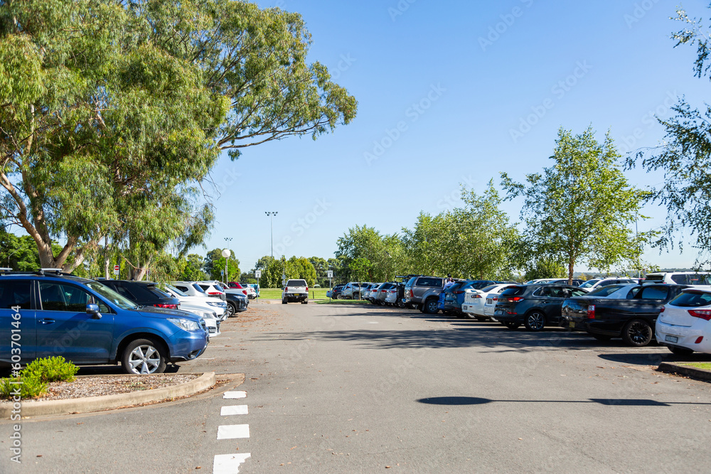 Full car park with vehicles under gum trees in Singleton near civic centre Full car park with vehicles under gum trees in Singleton near civic centre