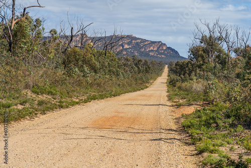 A long straight gravel road cutting through bush toward distant mountains photo