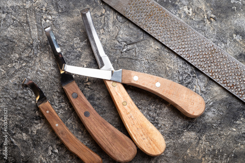 Billede på lærred new professional hoof  knives with  rasp for trimming horsy foot against grey background