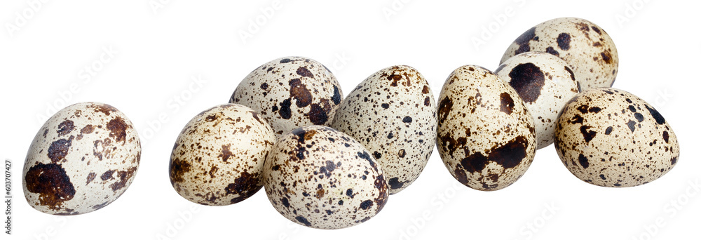 Obraz premium Delicious quail eggs cut out