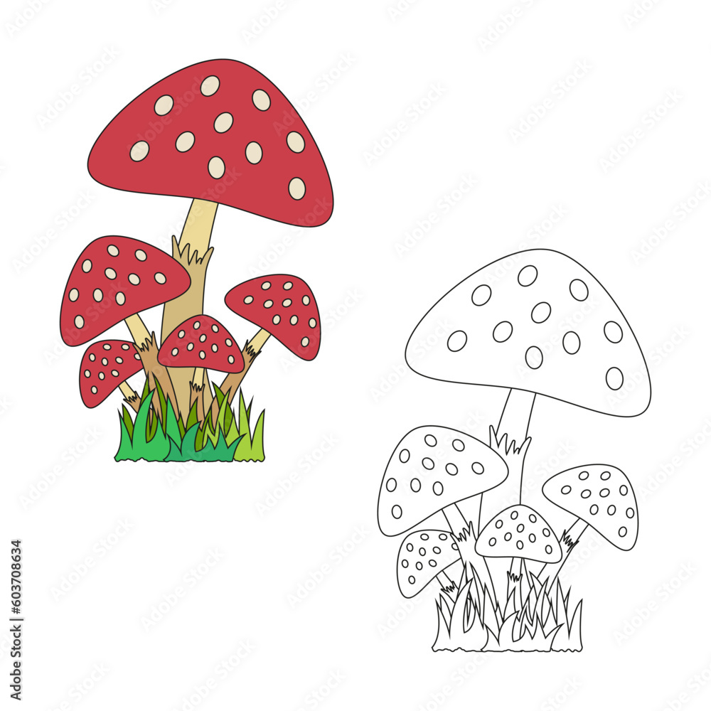 Children's coloring book cartoon mushroom fly agaric with green grass on a white background. Children's coloring book cartoon mushroom fly agaric with green grass on a white background.