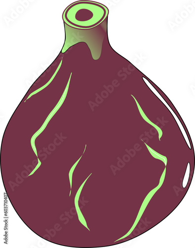 Higo morado con grietas verdes. Higo maduro aislado. Dibujo de fruta sencillo a vector. 