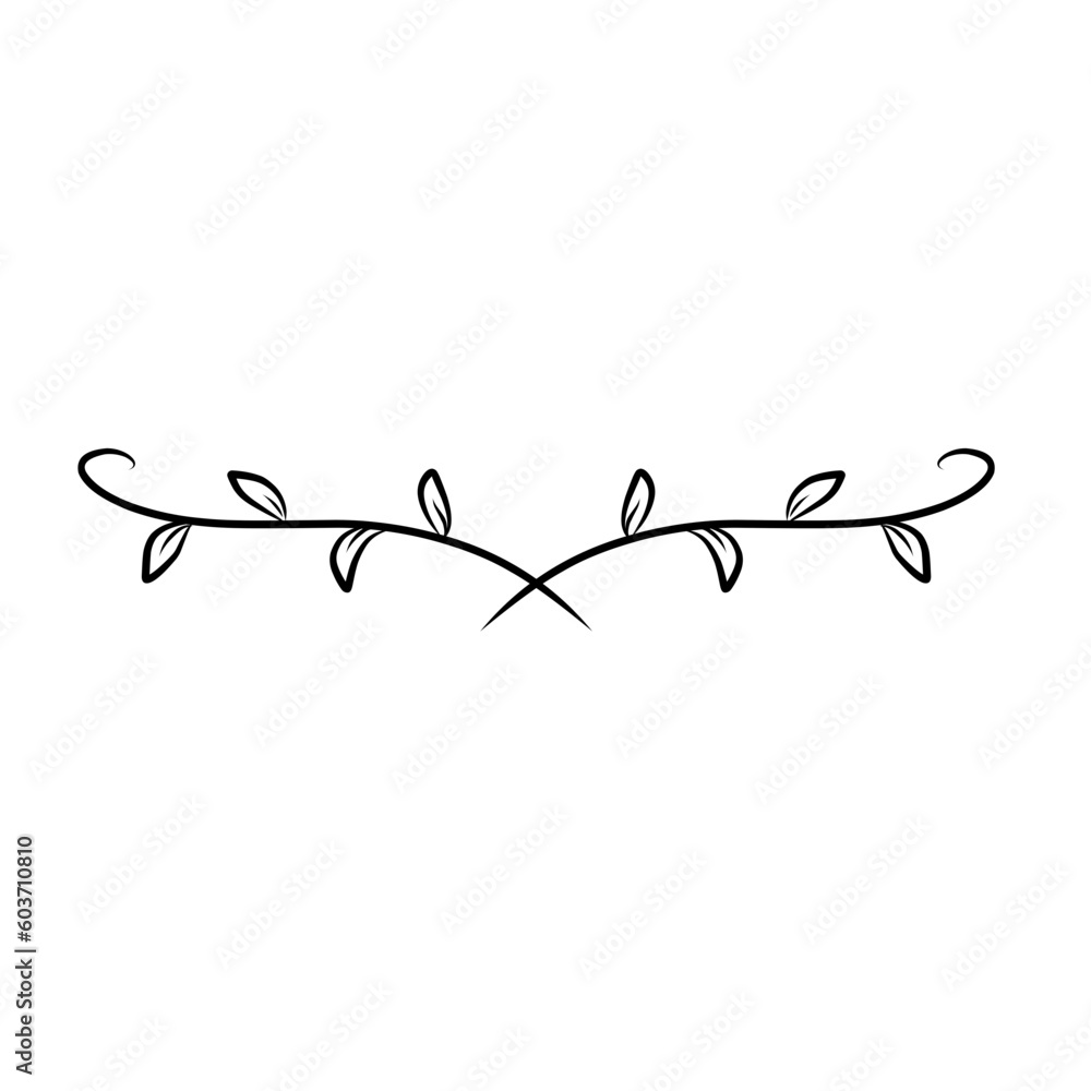 Botanical line divider Botanical line divider