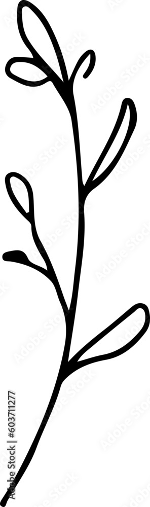 hand drawn floral line art