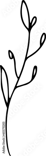 hand drawn floral line art