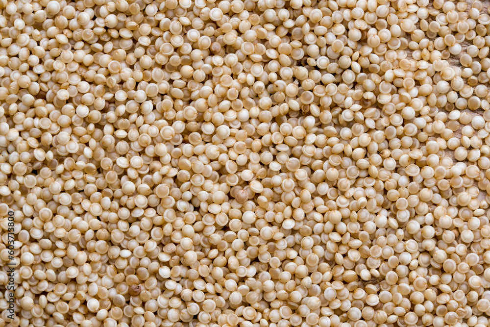 Amaranth seed abstract background. Macro texture of seeds Amaranth seed abstract background. Macro texture of seeds