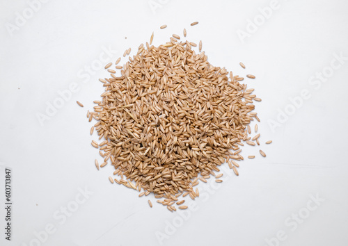 oat seeds heap isolated on white. top view with copyspace
