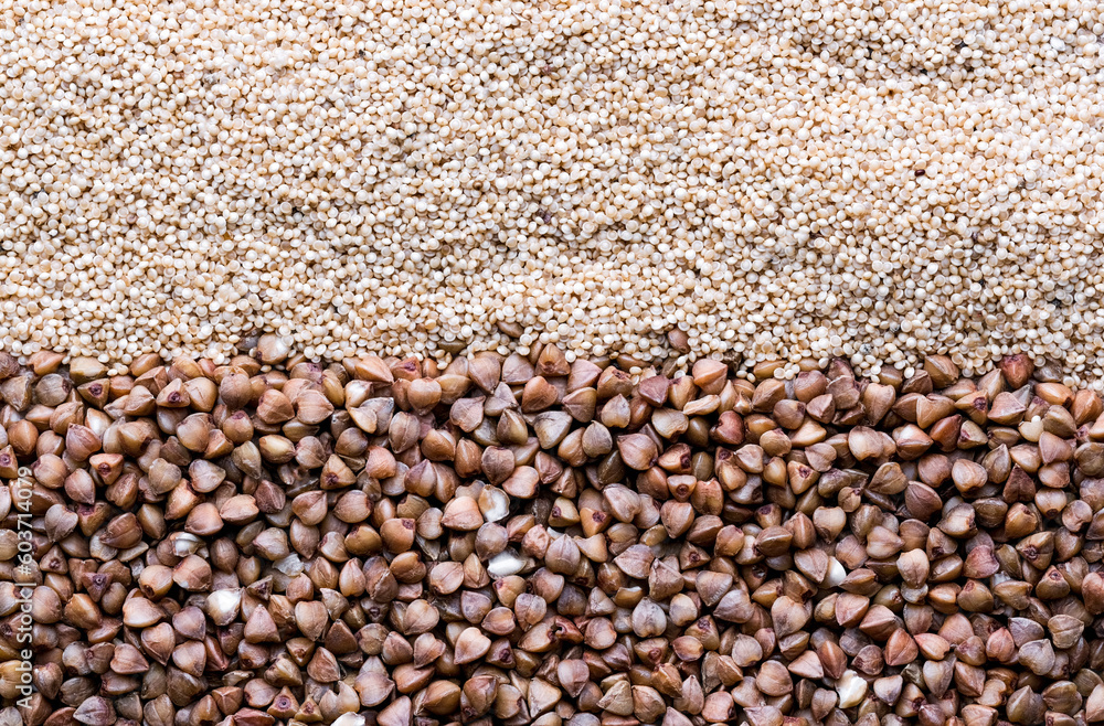 buckwheat. fresh buckwheat. dry buckwheat background. buckwheat texture buckwheat. fresh buckwheat. dry buckwheat background. buckwheat texture