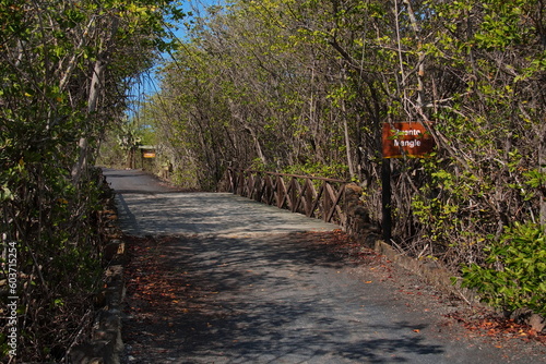 Hiking track at Pozas Verdes at Puerto Villamil on Isabela island of Galapagos islands, Ecuador, South America 