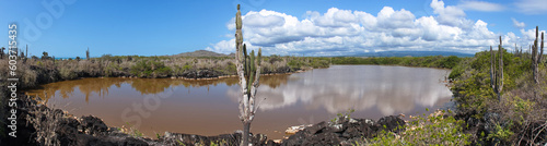 View of Pozas Verdes from Mirador Los Tunos at Puerto Villamil on Isabela island of Galapagos islands, Ecuador, South America
