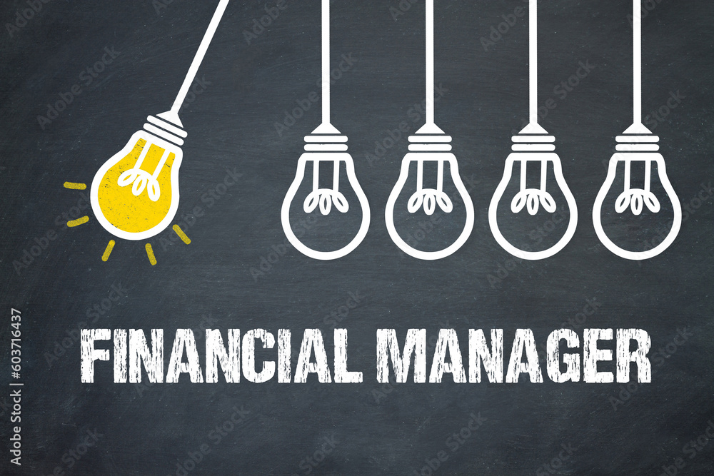 Fototapeta premium Financial Manager 