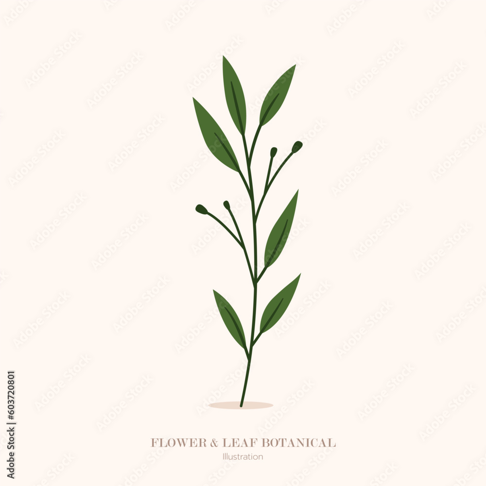 flower and green leaf botanical on pink background, illustration and flat design flower and green leaf botanical on pink background, illustration and flat design