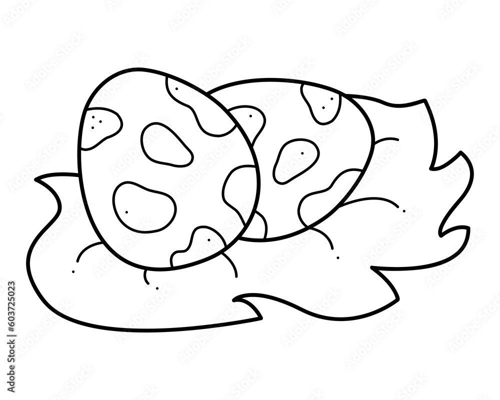 Two chicken eggs in the nest. Doodle black and white vector illustration. Two chicken eggs in the nest. Doodle black and white vector illustration.